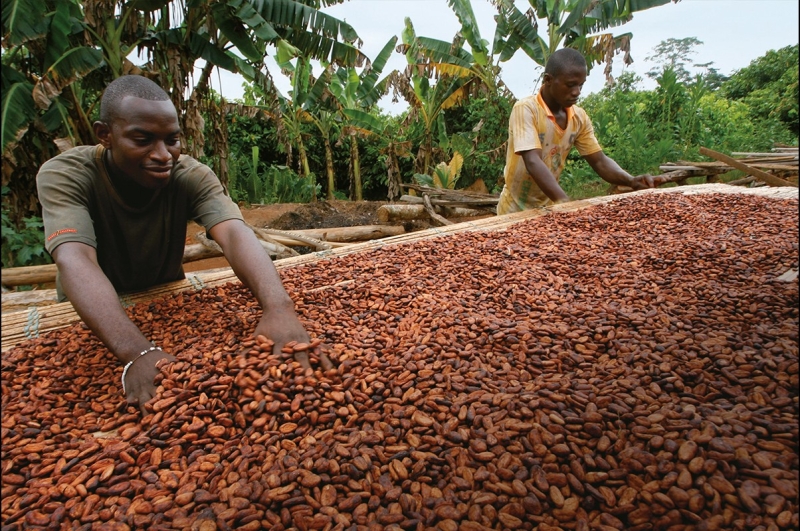 Grupo Deleitas en el programa de la Fundación Cocoa Horizons para una producción sostenible del cacao